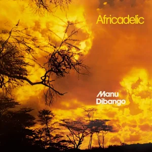 Manu Dibango - Africadelic - Lp Discount
